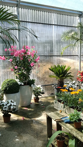 Horto Praia Grande - Jardinagem