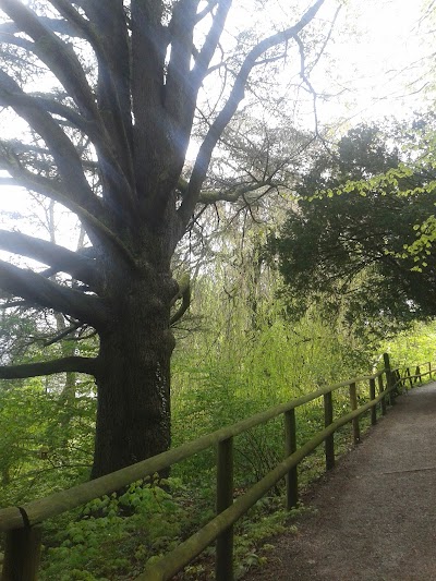 Photos of Thurn und Taxis Park