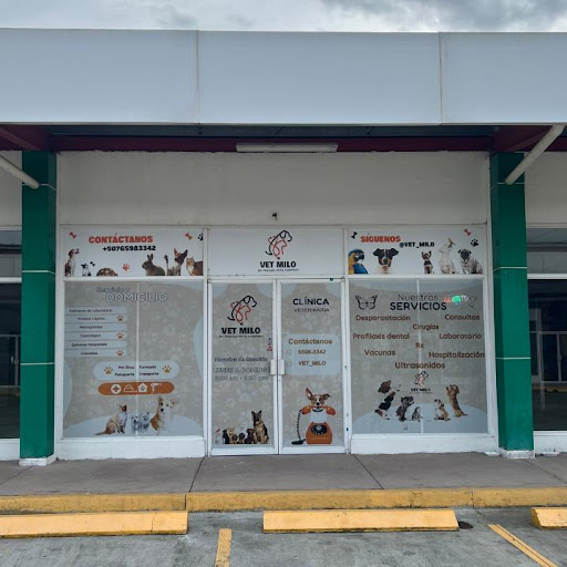 Vet Milo