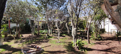 Museo Regional del Pulque y el Maguey Texcoco - Thumbnail