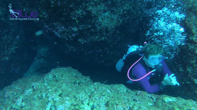 Αξιολογήσεις για το Blue Adventures Diving L.T.D. - Chania | Dive Center & Activities στην Χανιά - Σχολή οδήγησης