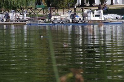 Photos of da0a4zampe Toeletta Acquari Negozio di Animali Roma
