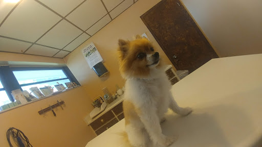 Ark Animal Hospital & Clinic (CALM VETERINARY PRACTICE)) - Thumbnail