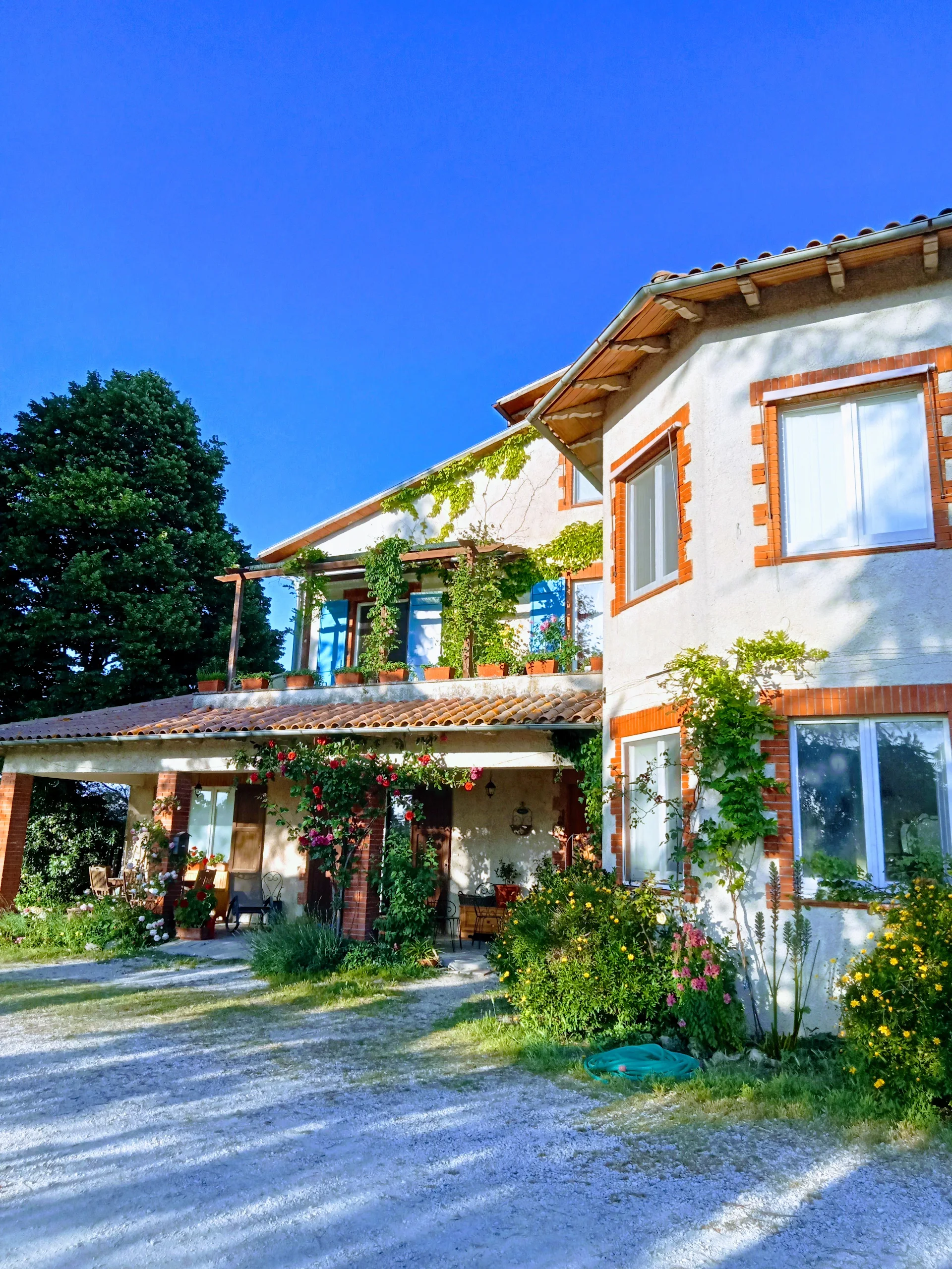 La Gallinella Rossa - CIN IT055007C23Z030941