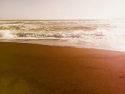 Photos of Playa Lloncao