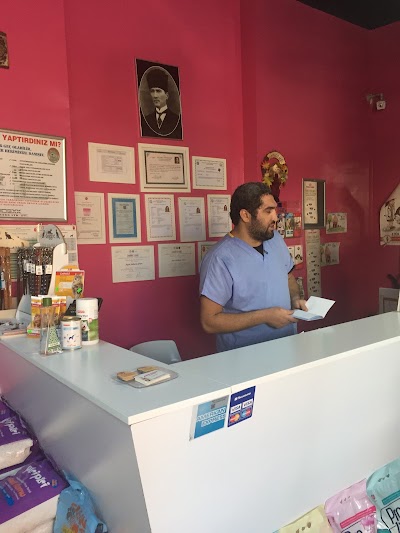 Photos of Little Paws Veterinary Clinic