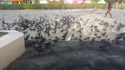 Photos of Artificial Beach