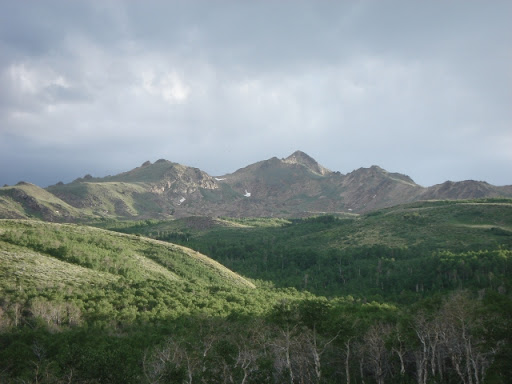 Lye Creek Campground - Thumbnail