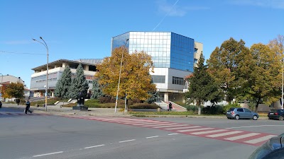 Photos of Club Ambassador