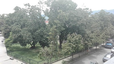 Photos of Suramericana