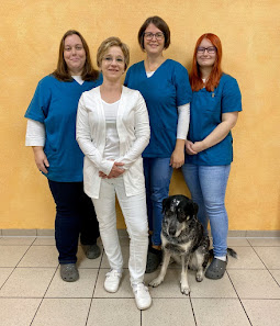 Tierarztpraxis Jennifer Reuber Hagener Str. 66, 58099 Hagen, Deutschland