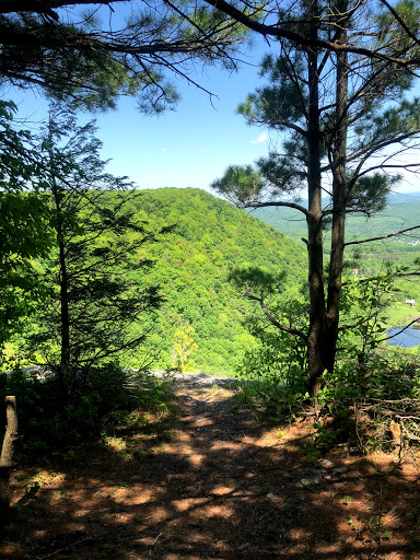 High Point (Thacher Park) - Thumbnail