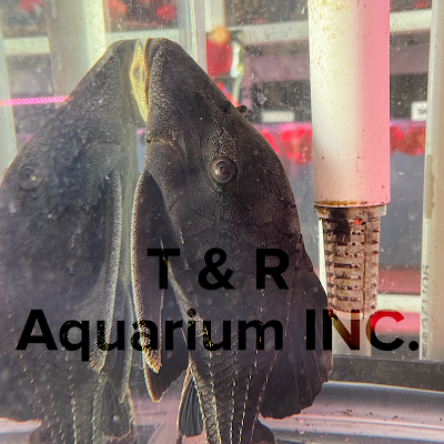 T & R AQUARIUM INC