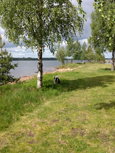 Bräcke Båthamn - Thumbnail