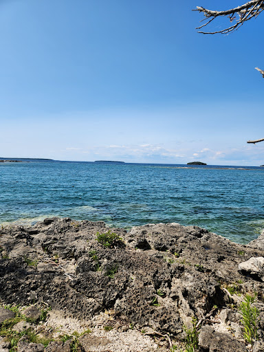 Little Dunks Bay Lookout - Thumbnail