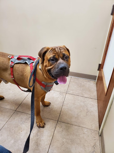 Twins Veterinary Hospital