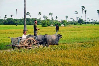 Photos of VIR Angkor Tour
