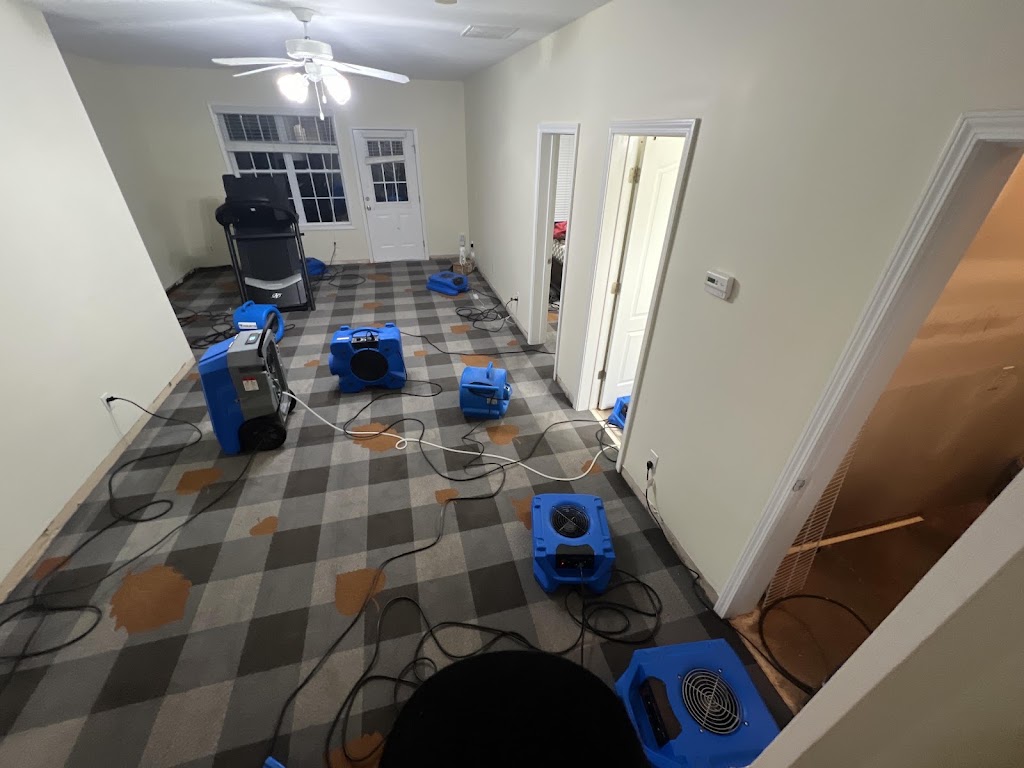Alliance Restoration and Cleaning Inc. photo