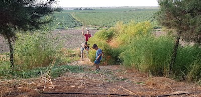 Sıralı Bayraklı Tepe Mahallesi