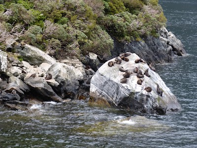 Photos of Milford Sound