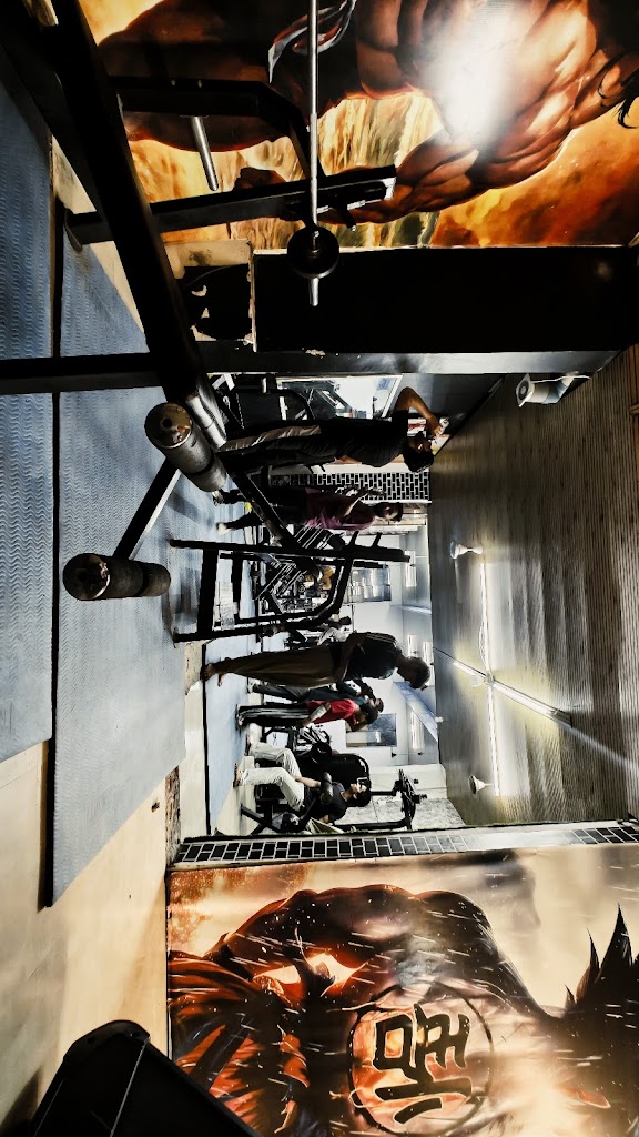 American Fitness Unisex Gym