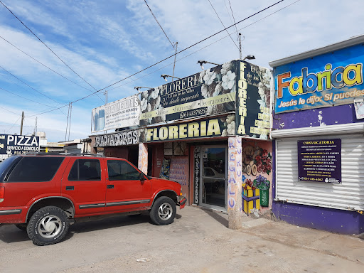 Floreria El Lirio De Los Valles