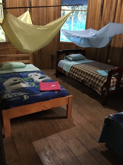 Photos of Amazon Travel