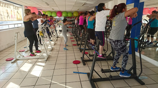 Sport Toner Gym