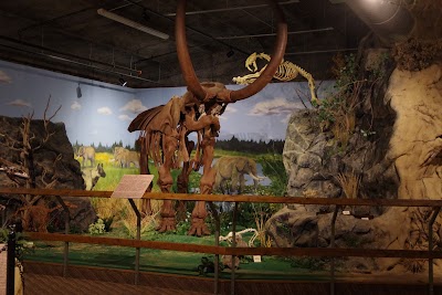 Glendive Dinosaur and Fossil Museum