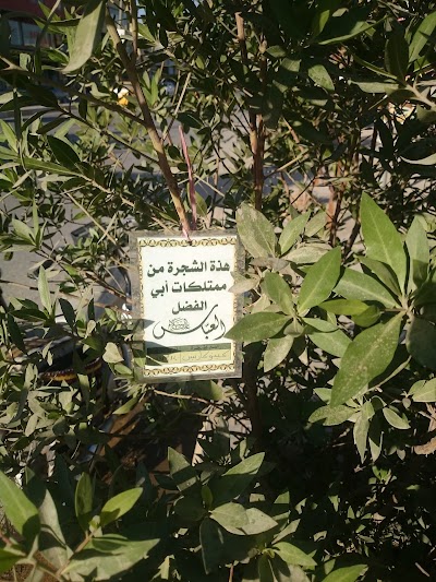 Photos of Eyes musk company in Karbala for sale in installments