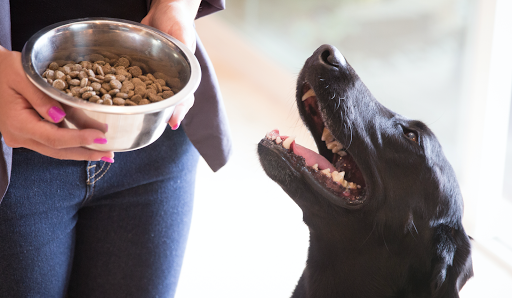 Nature's Select of the Carolinas - Buypetfood.com