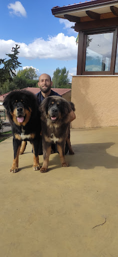 Hotel para perros Centro Canino Birutxines by Álvaro García Groomer