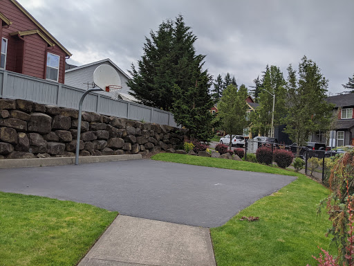 Tree Hill Park - Visual