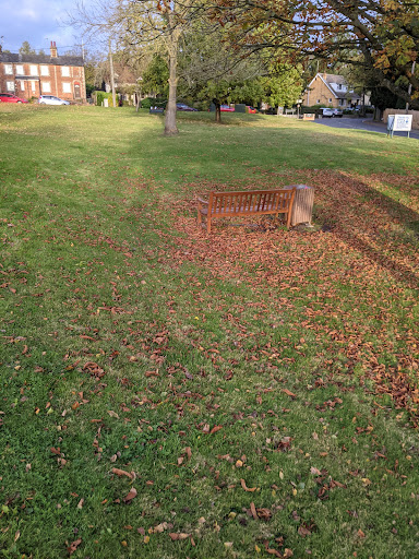 White Colne Village Green - Thumbnail