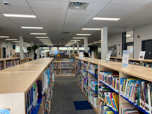 Budimir Public Library - United States