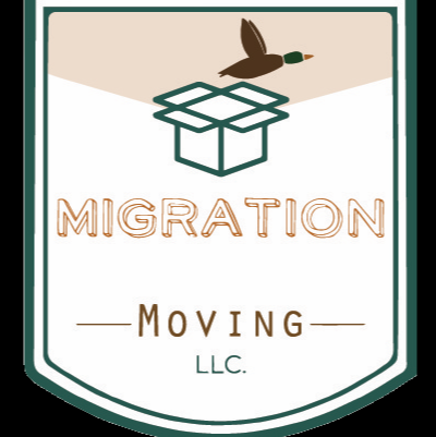 Migration Moving - Visual