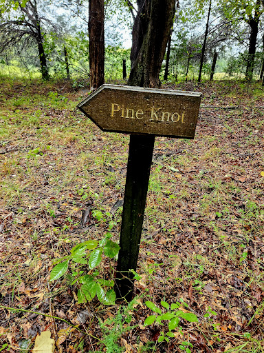 Pine Knot - Visual