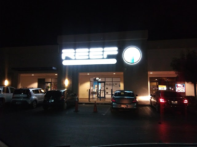 Reef Dispensaries