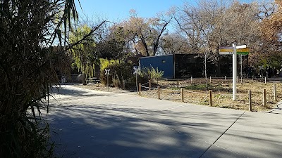 Albuquerque Zoo - Asia