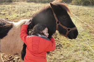 Photo n°14 de MAS DE PEYRELONGUE à Corn (Centre équestre)