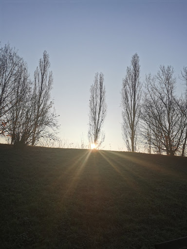 Parco Oristano - Thumbnail