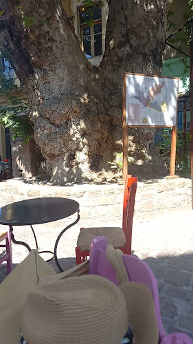 Αξιολογήσεις για το Serafino cafe bar στην Πλωμάρι - Μπαρ