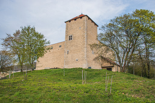 Allymes Castle - Thumbnail