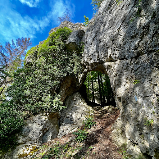 Bärental - Visual
