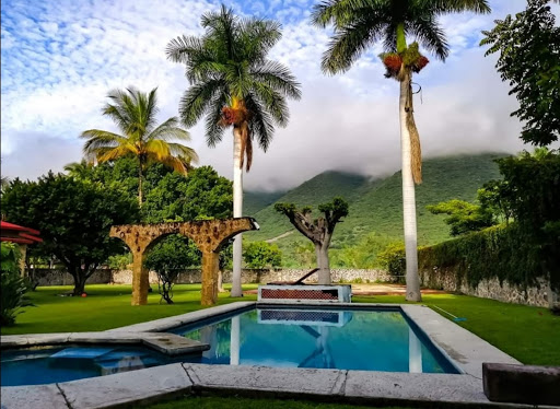 Finca Ticumán - Visual