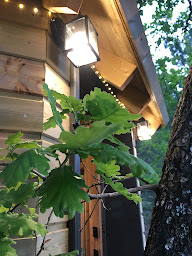 Photo n°39 de Ferme Fortia - Hébergement, Mariage & Séminaire à Montréal-les-Sources (Lieu de mariage)