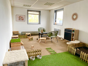 Photo n°19 de Rabbits World à Civens (Magasin d'articles pour animaux)