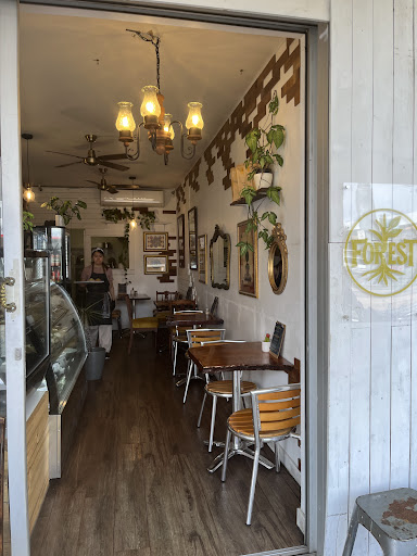 Photo of Forest フォレスト