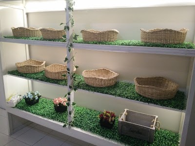 Photos of Qun's Cake and Bakery