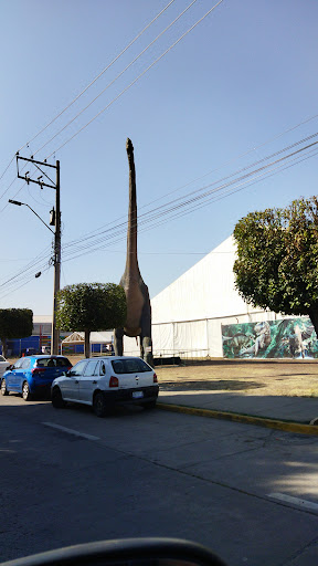 CIPOL